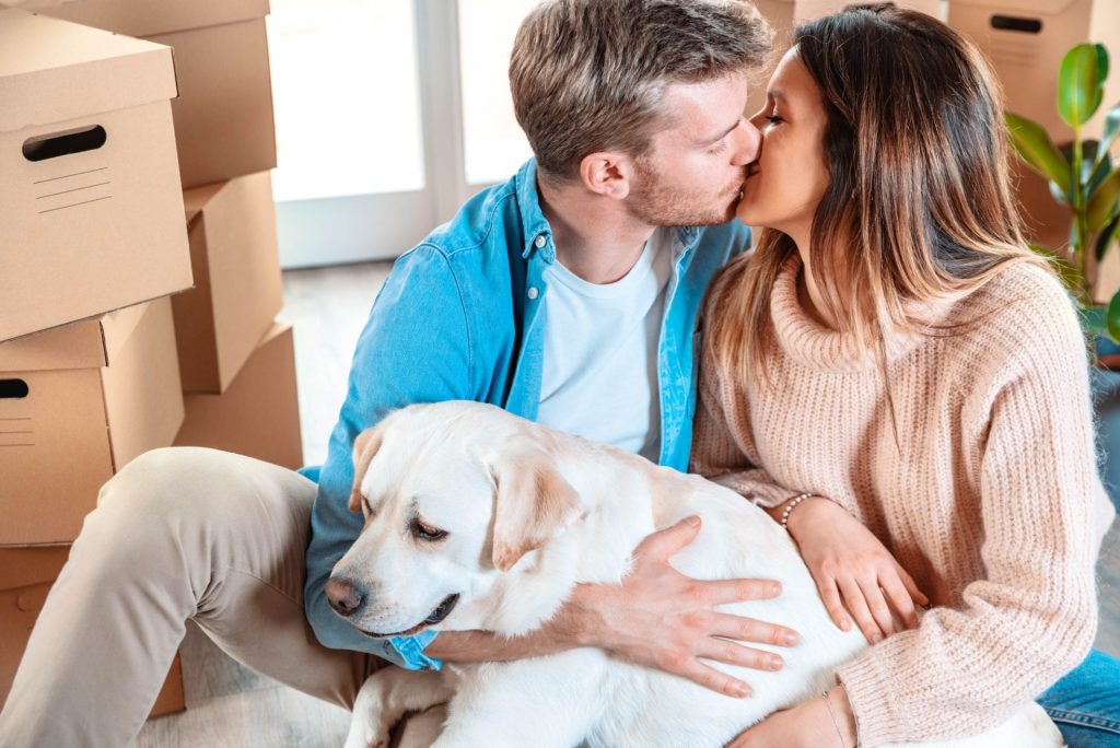 Selling a House & Moving With a Dog – A Comprehensive Guide 1 selling a house
